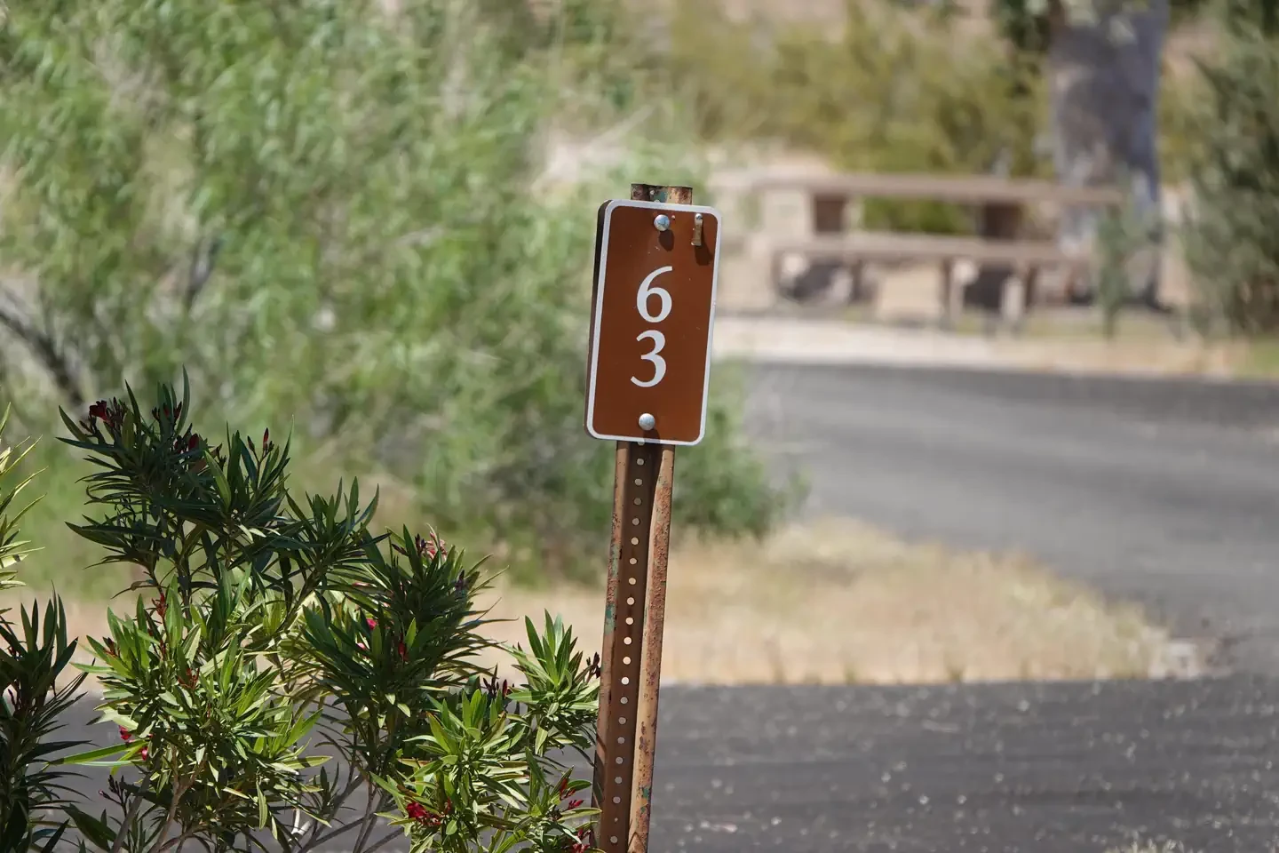 Site 63
