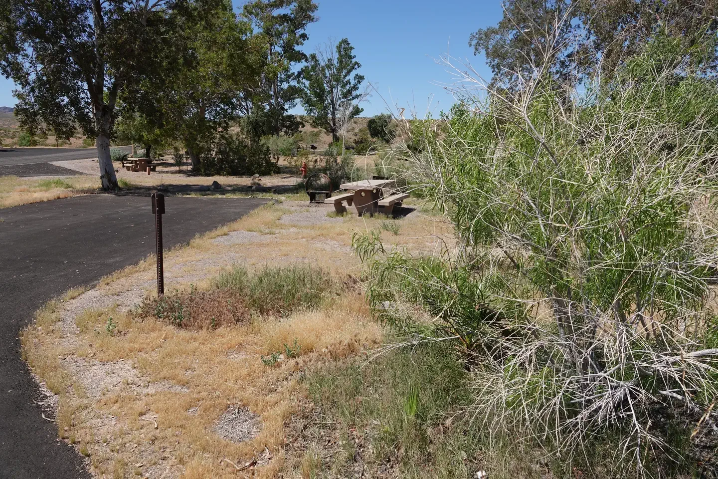 Site 2