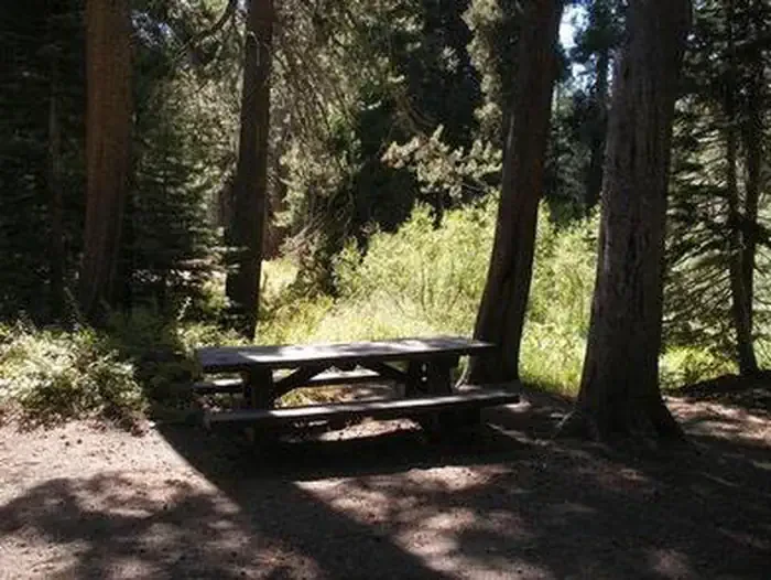 Agnew Horse Camp