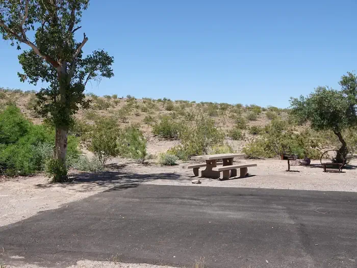 Site 80