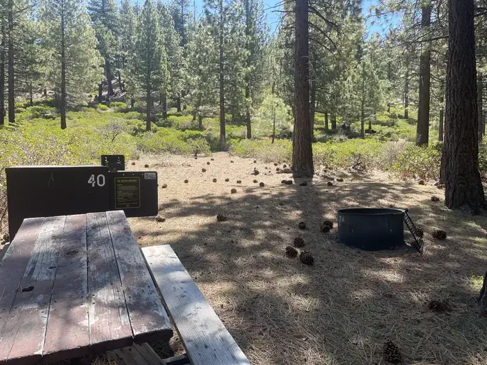 40