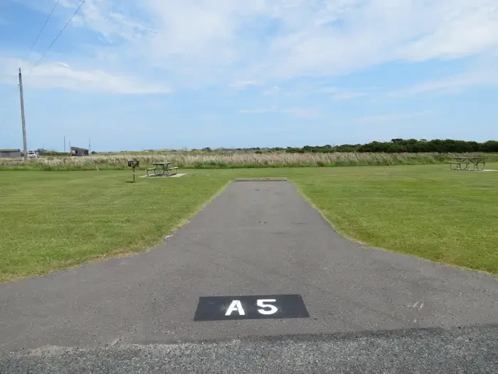 A005