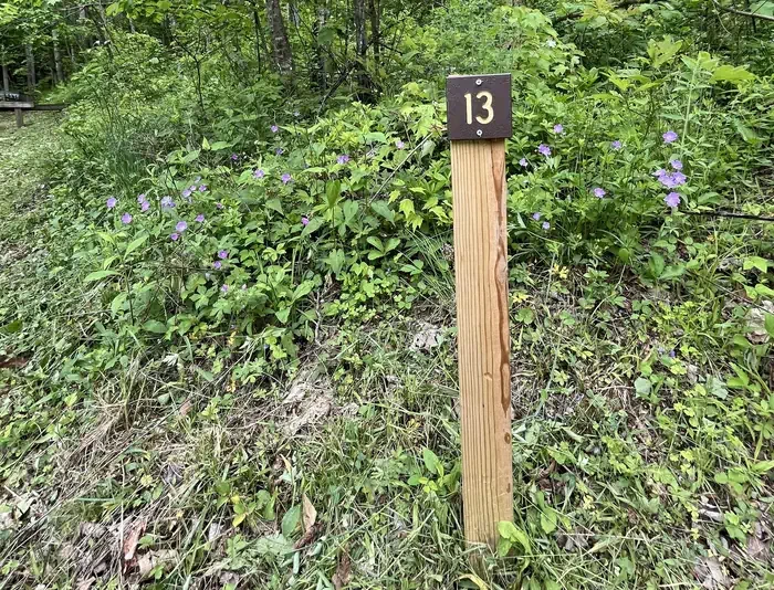 HD13