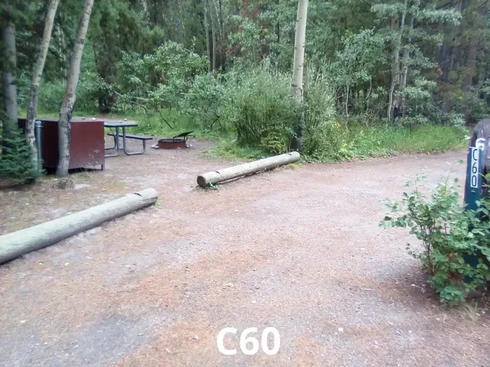 60