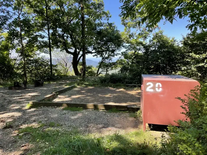 020