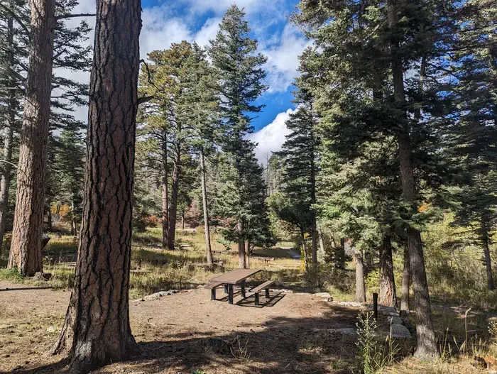 Balsam Glade Picnic Site