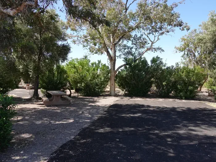 Site 16