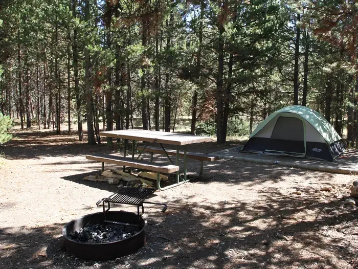 Indian Creek site #56
