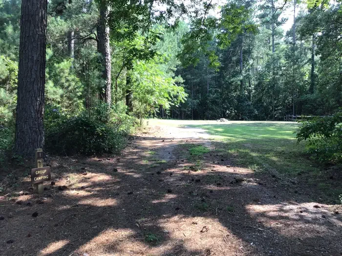 Site 01- Group