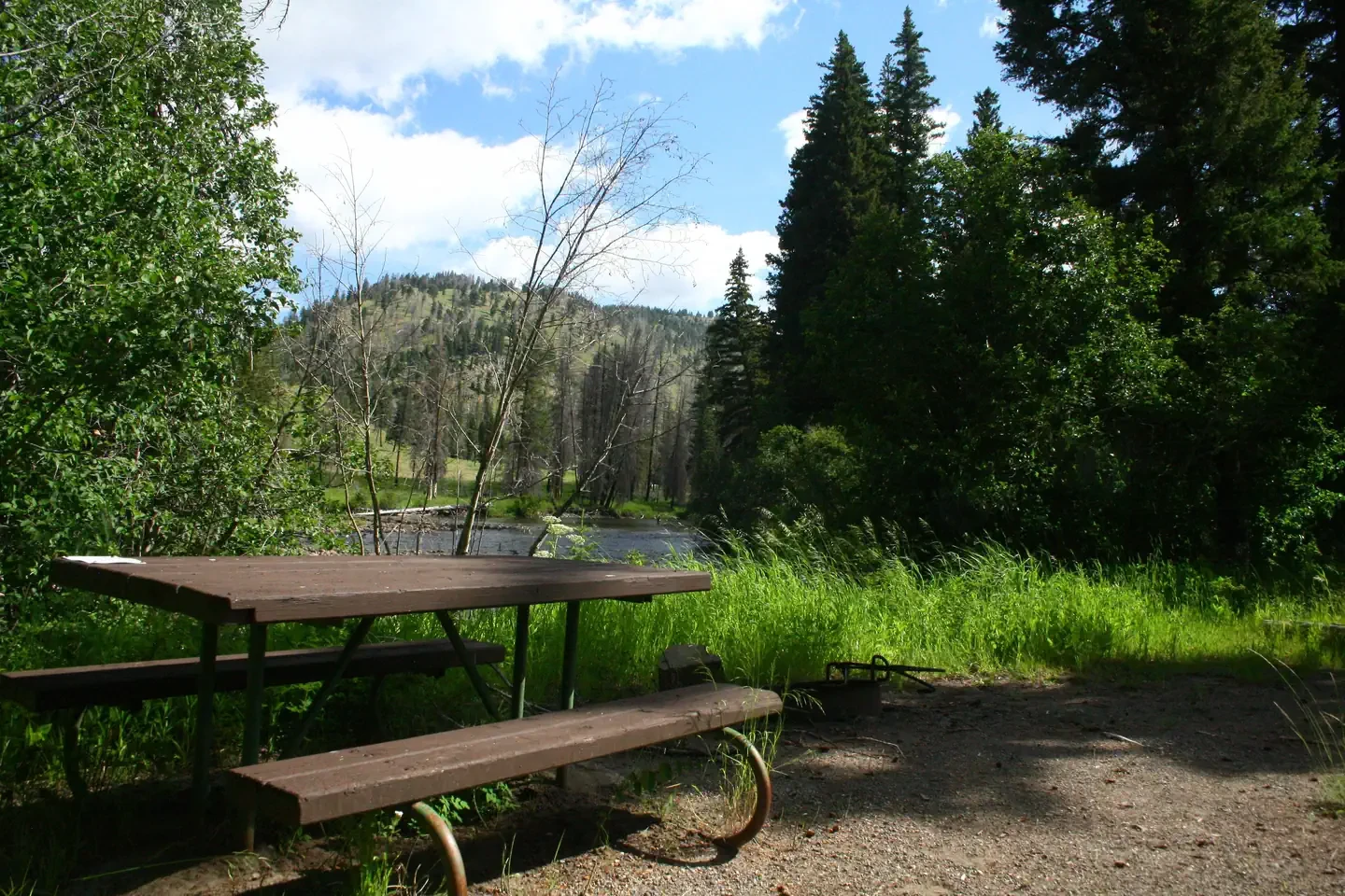 Slough Creek site #11