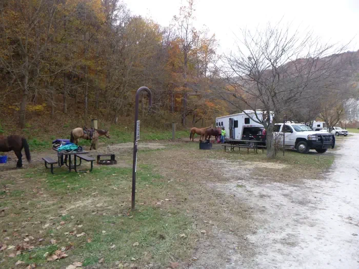 34 - Horse Site