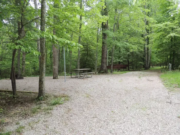2 (with new paddock)