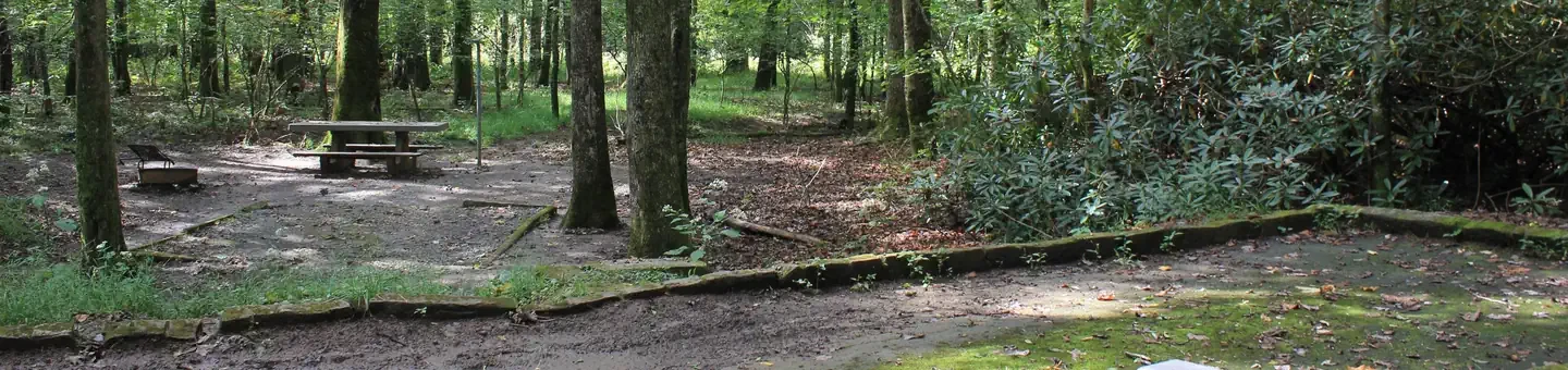 B41
