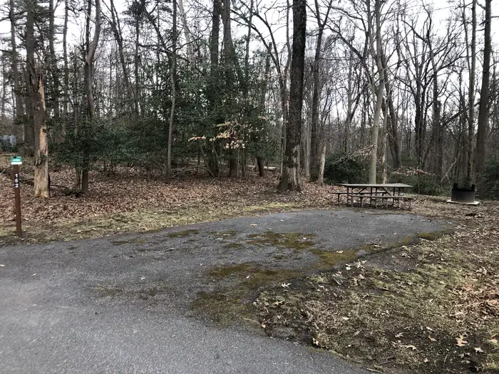 D162