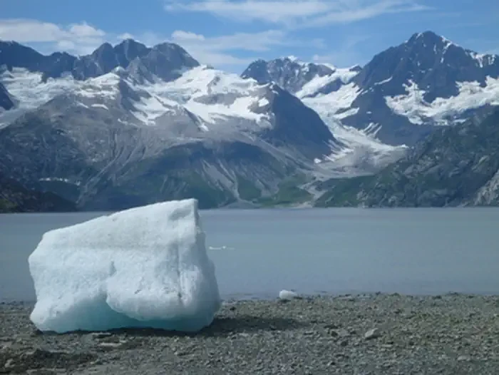 Glacier Bay National Park & Preserve