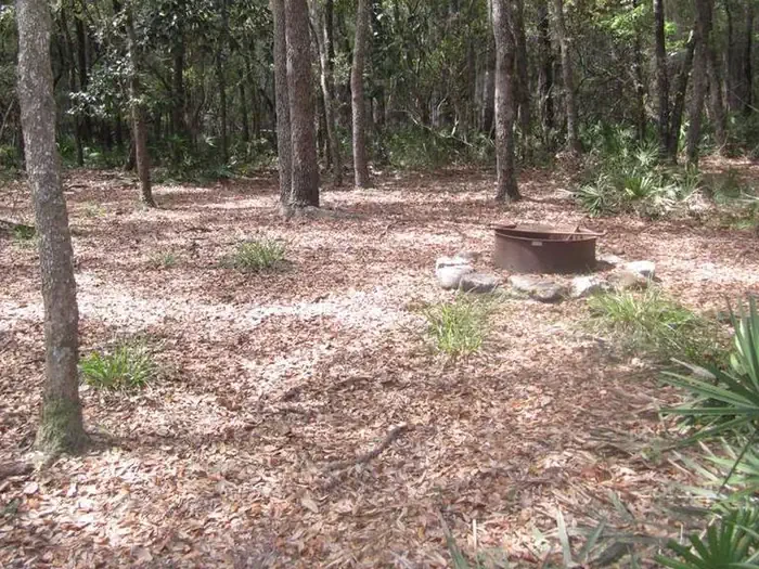 Cravens Hammock