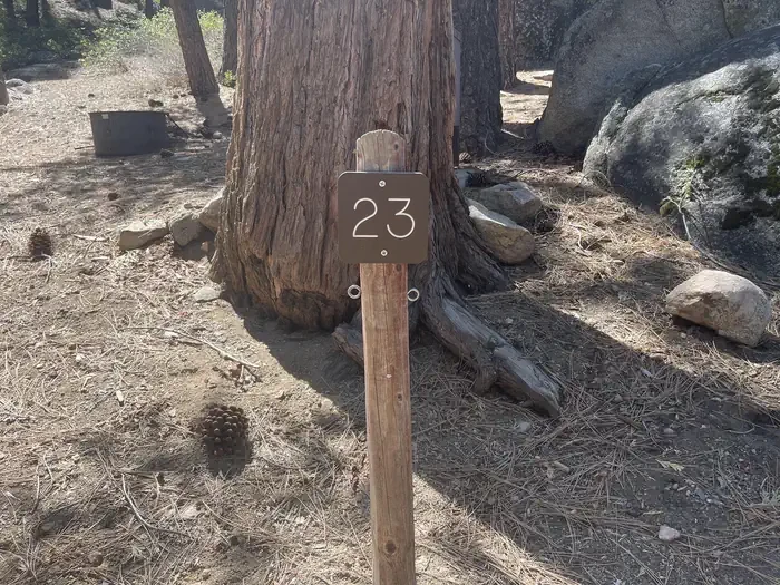 23
