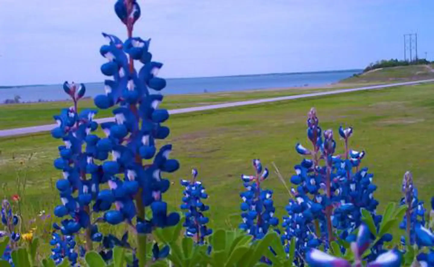 Lake Seminole