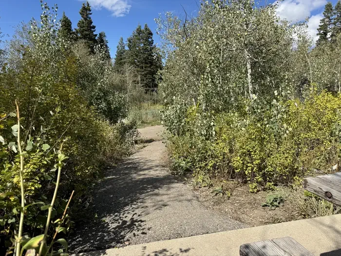 C25