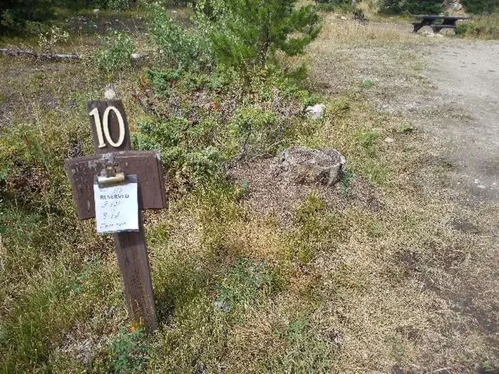010
