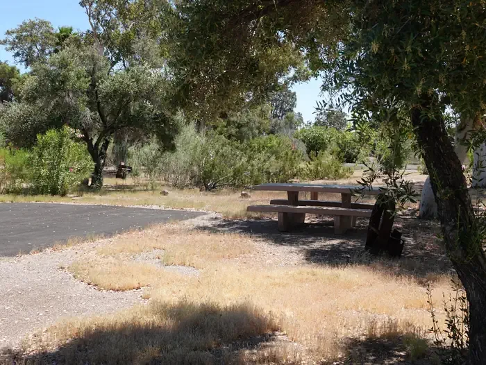 Site 47