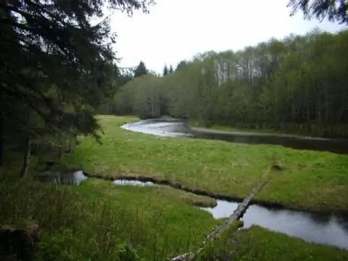 Admiralty Cove Cabin