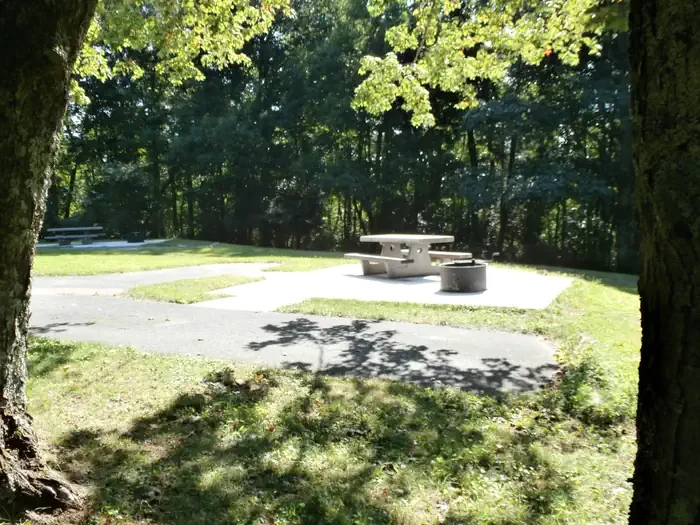 A11