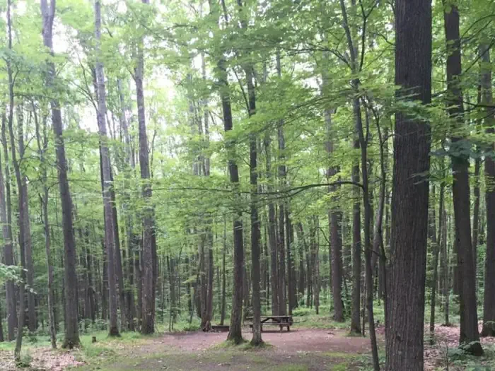 Handsome Lake Boat Access Campground