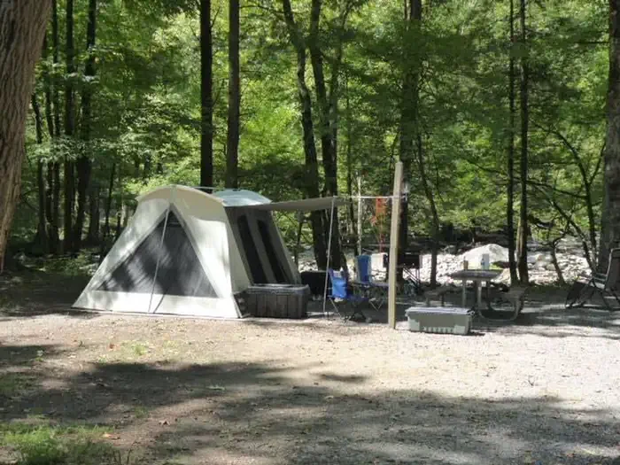 D04