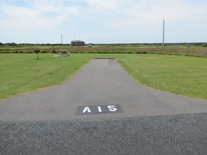 A015