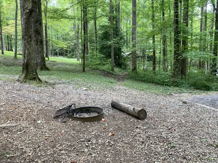 A33