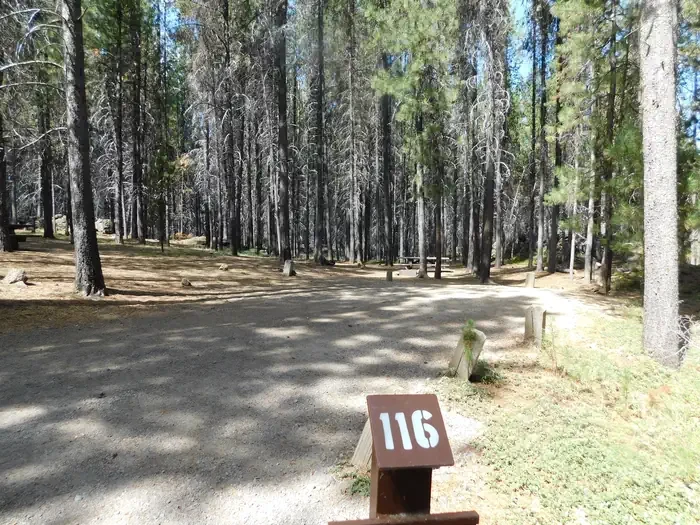 116