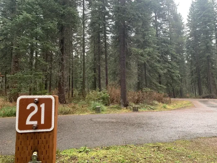 LAS21