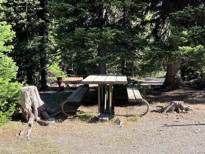 Lewis Lake site #41