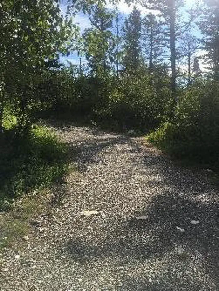 56