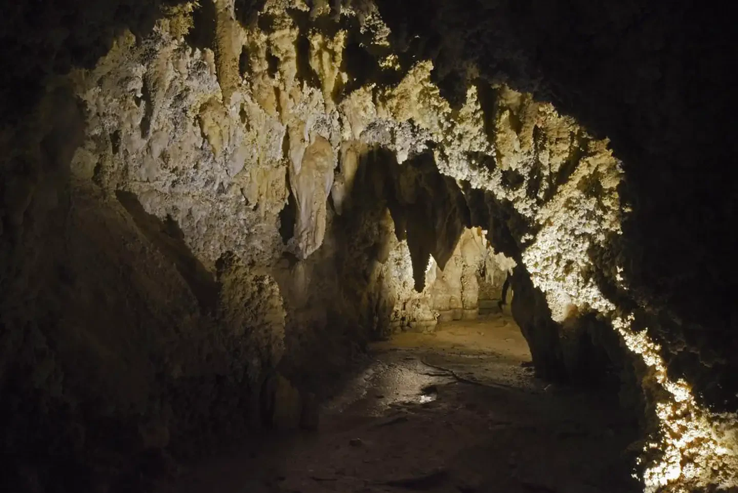 Cave Tour