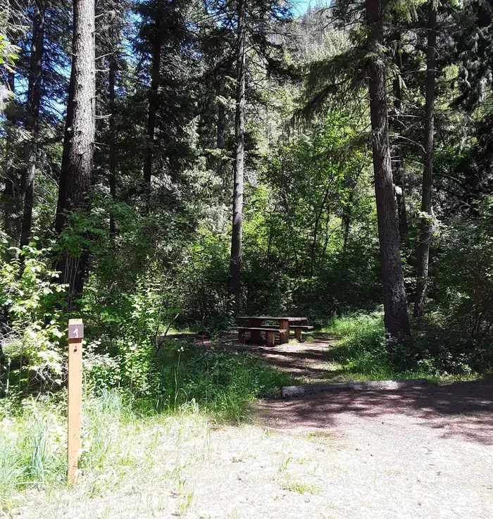 Trout Creek Campground (MT)