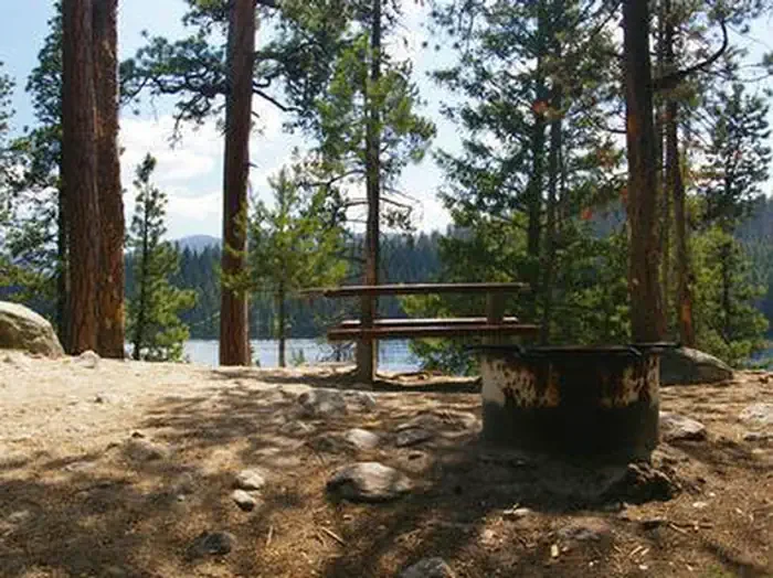 Picnic Point (id)