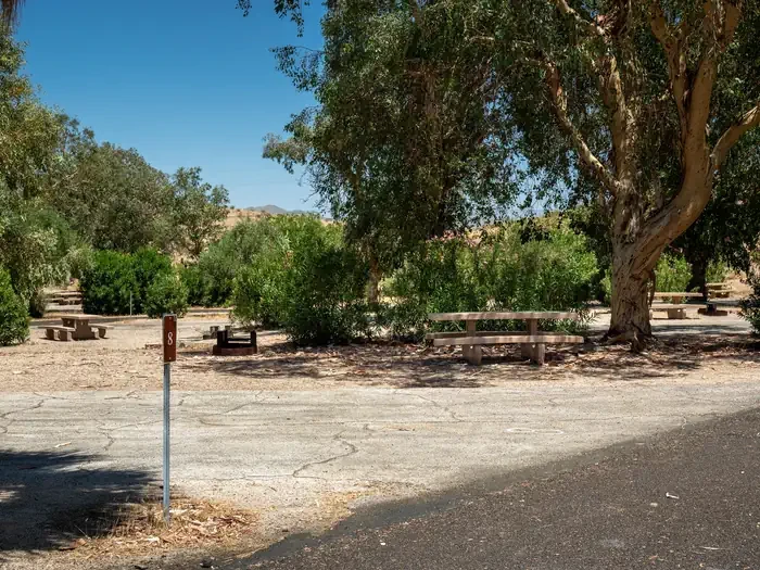 Site 8
