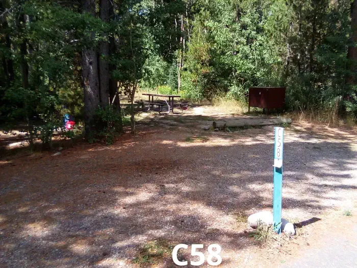 59