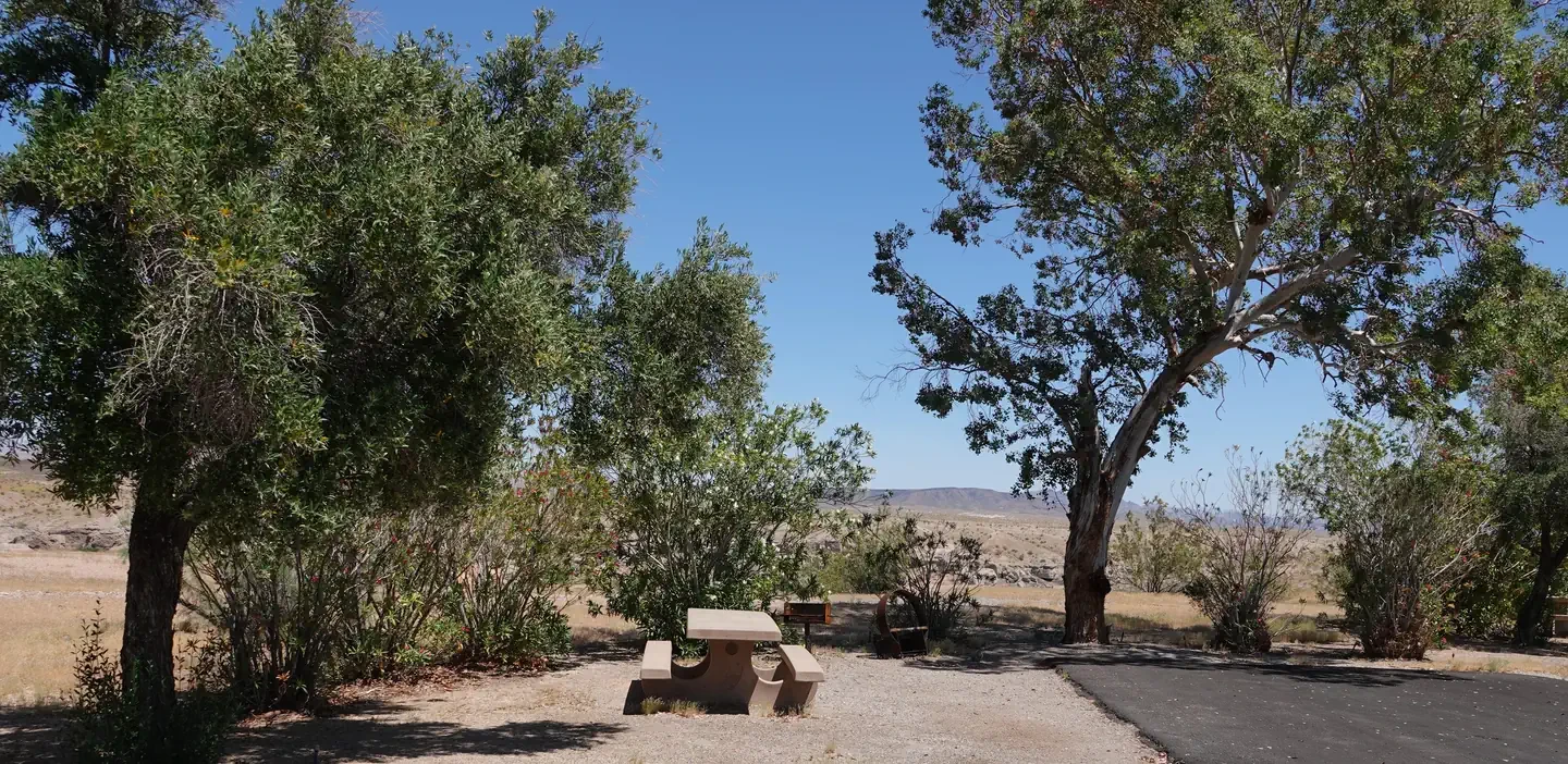 Site 50