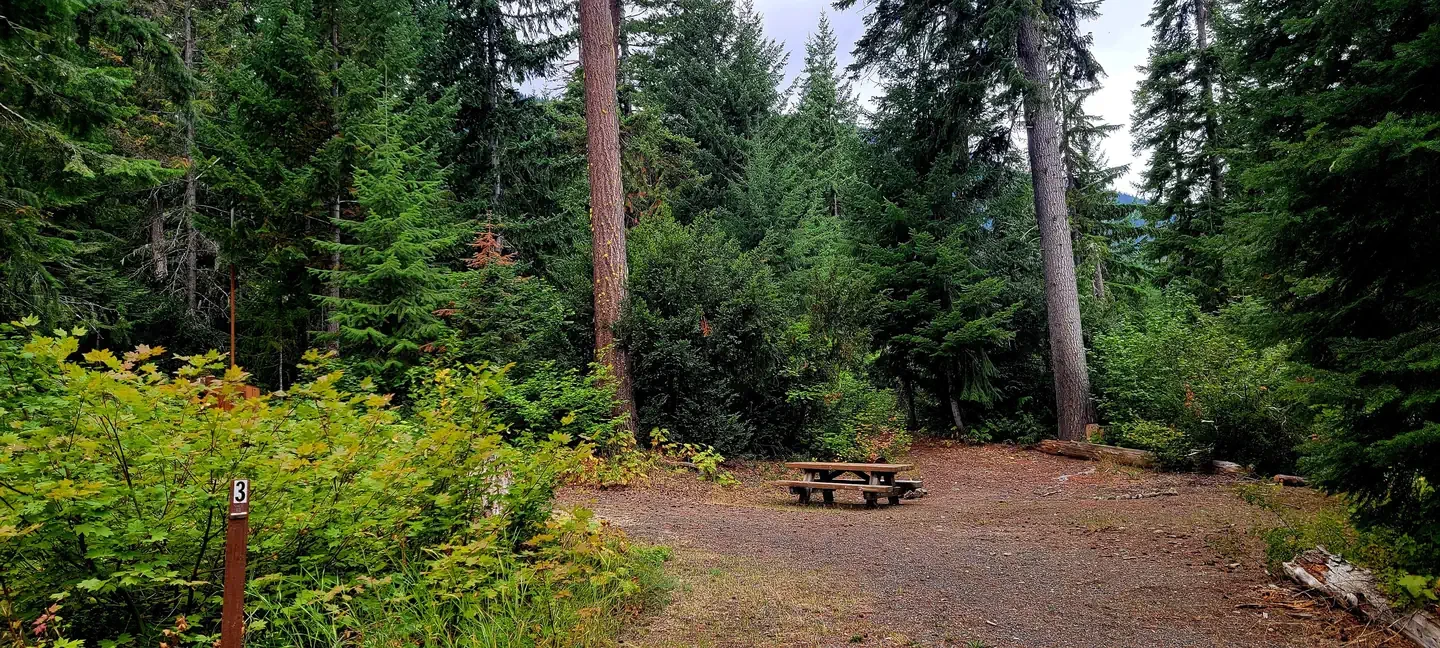 Blackpine CR Horsecamp