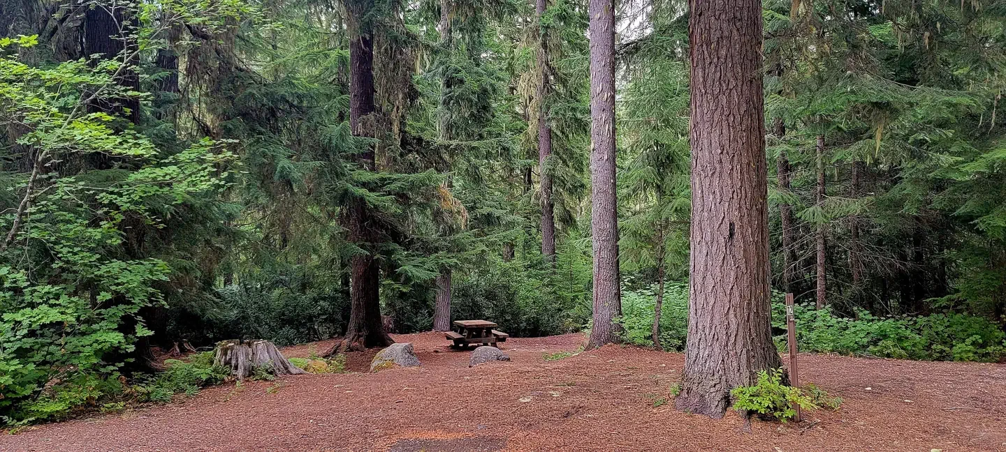 Blackpine CR Horsecamp