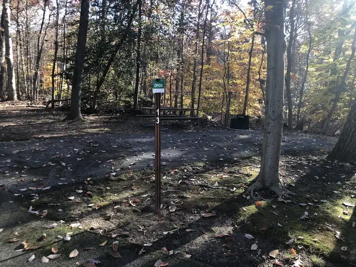 A13