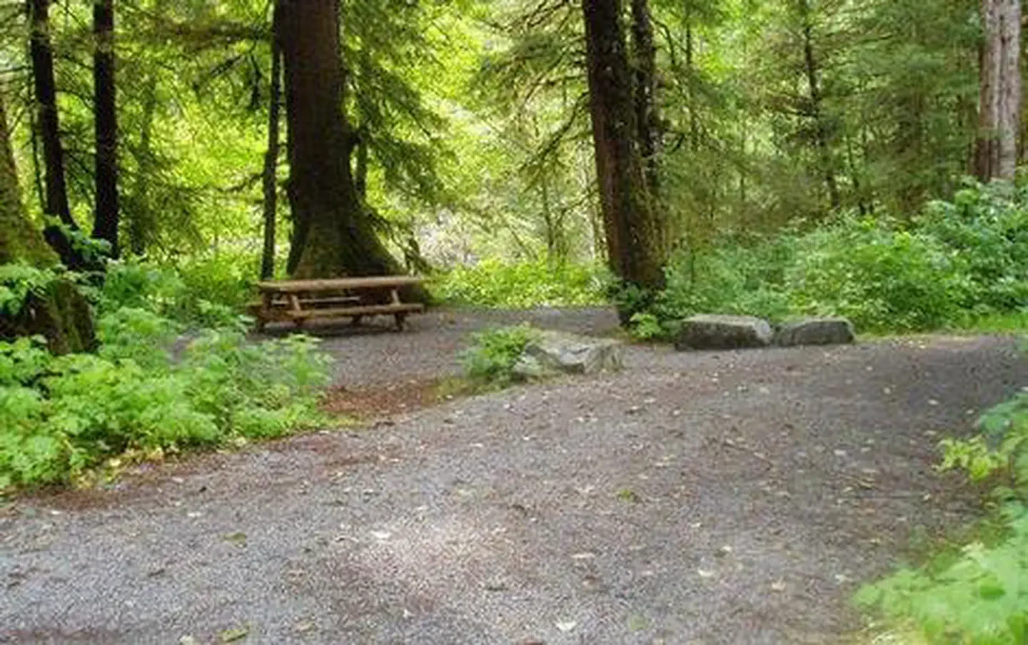 Starrigavan Campground and Day Use