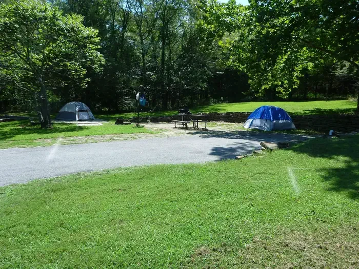Site# 24