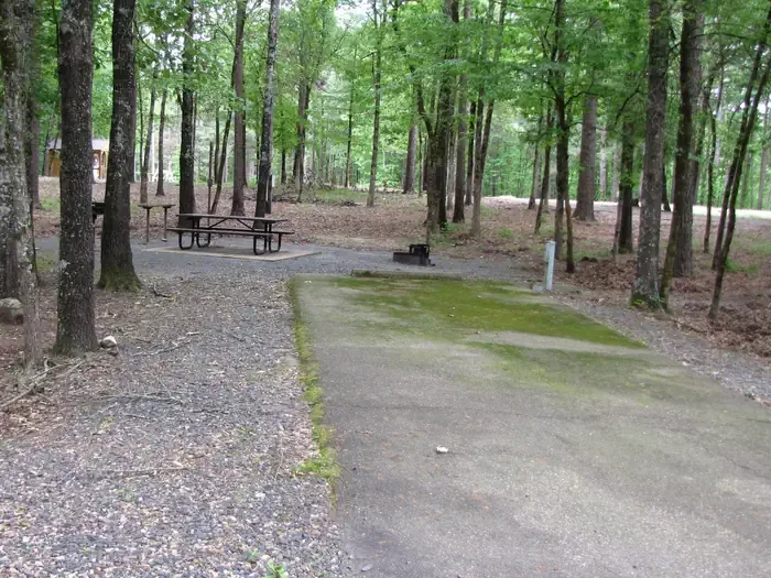 Site 9