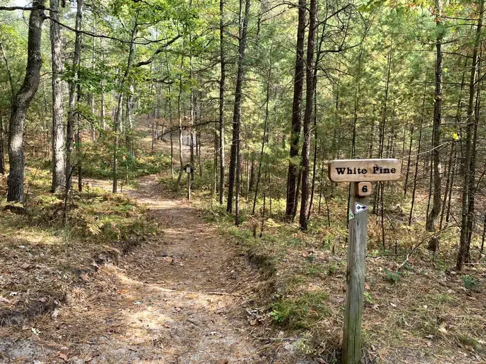 White Pine Backcountry Campground Permits