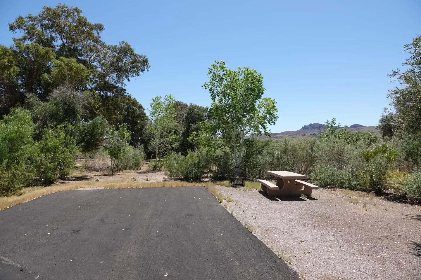 Site 43