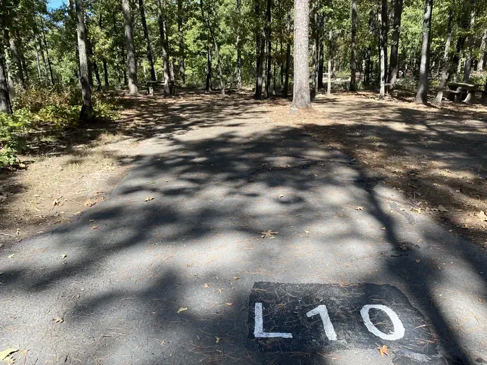L10